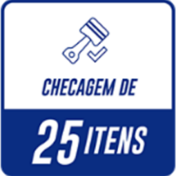 checagem de 25 items